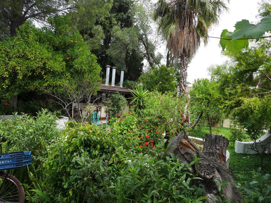 Longhouse Inn Hotel Dalyan Exterior photo